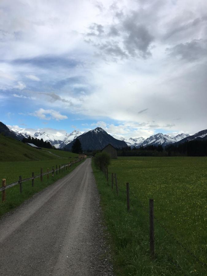 Wiesenblick Оберстдорф Екстериор снимка
